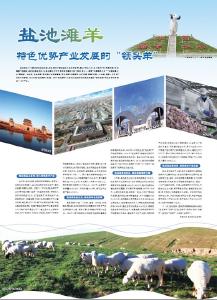 盐池滩羊特色优势产业发展的“领头羊”