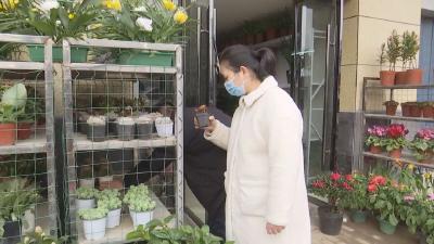 花卉飘香迎新年