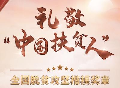 独家揭秘！脱贫攻坚战的“军功章”
