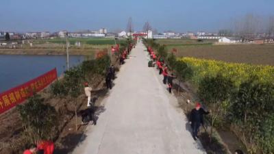 义务植树掀高潮 汉川今年将人工增林1.3万亩