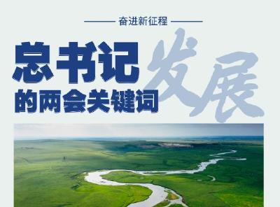 奋进新征程丨总书记的两会关键词：发展