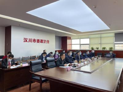 汉川召开市域社会治理现代化试点工作视频推进会