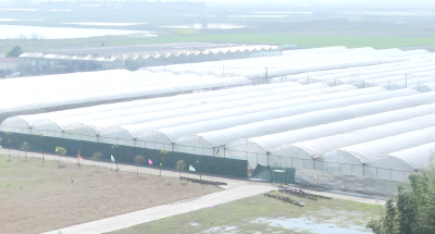 新春走基层 | 助春耕 线上线下忙充电