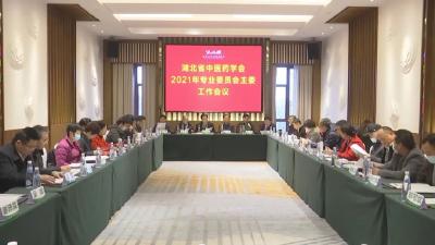 全省中医及中西结合医院“精英”齐聚汉川，讨论这些事
