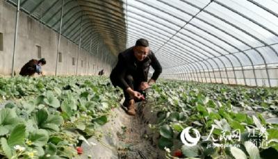 新春走基层|徐州铜山区棠张镇：烈士家乡浇开共富之花