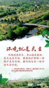 联播+ | 习近平这样绘就高质量发展的生态底色