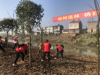 汉川市委政法委开展春季义务植树活动