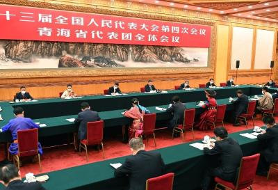 两会“下团组”，习近平这样谈“心”