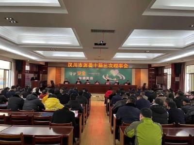 突出年主题 唱响3.15 汉川全力推进消费维权工作