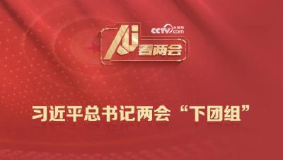 AI看两会 | 8年46次“下团组” 总书记都说了哪些高频词？