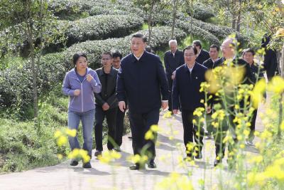 “这里的山山水水、一草一木，我深有感情”