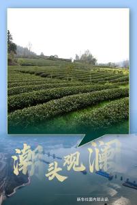 潮头观澜 | 习近平点赞“科特派”