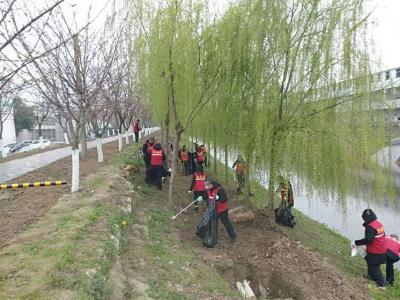 【西江乡】水清岸净柳成荫 河道治理显成效