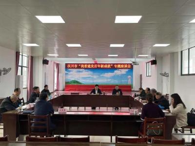 汉川市召开“我看建党百年新成就”专题座谈会