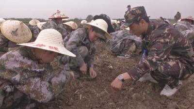 “小农人”体验别样研学游