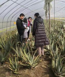 汉川市公共检验检测中心：走，上门服务！