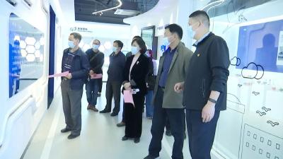 肖建海到汉川市调研新材料产业发展工作