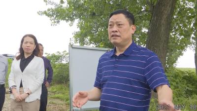 未雨绸缪，曾耀华带队检查防汛备汛工作，叮嘱了这些……