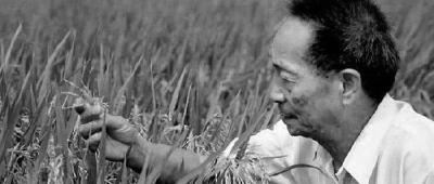 默哀！袁隆平院士逝世