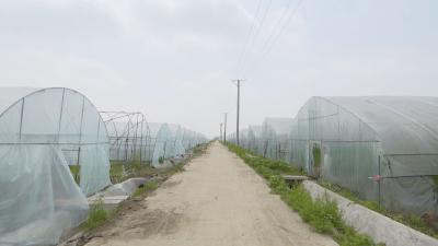 “全省脱贫攻坚先进集体”湾潭乡：党建引领有力量 脱贫攻坚有底气