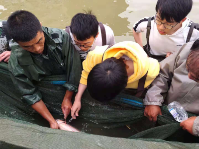 垌塚来了一批华农实习生