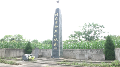 【南河乡】何九：巾帼风采照南河