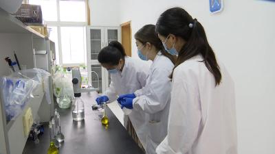 抽检全合格  放心“过端阳”