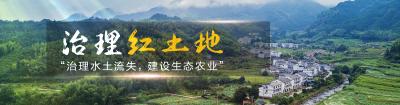 习近平对土地的深情