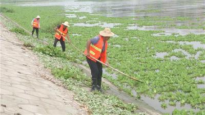 【仙女山街道】力保汛期河道行洪畅通