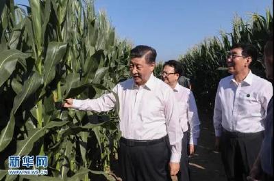 习近平的“三农情结”