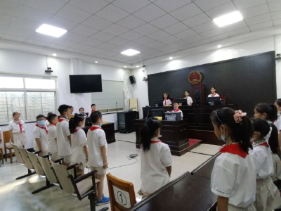 小学生进法院  零距离感受司法公正