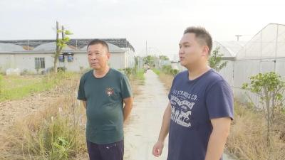 【乡村振兴三项行动】返乡“新农人”逐梦田园