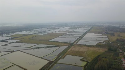 虾蟹鳜混养“很来菜” 注意四点