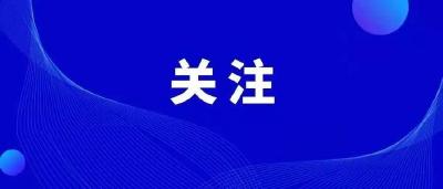 【综合】汉川市召开乡村振兴“三项行动”现场推进会
