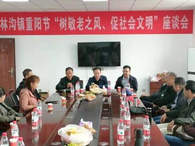 【杨林沟镇】话重阳 谋发展