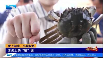 汉川螃蟹上《湖北新闻》啦
