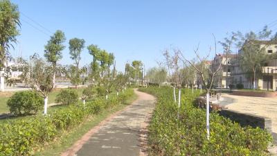 【马口镇】【乡村振兴三项行动】党建引领村民共治 这个村的颜值和气质发生了......