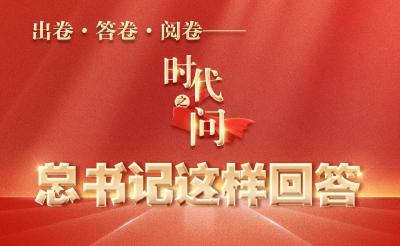 是种好自家“一亩三分地”，还是大家抱成团朝着顶层设计的目标一起做？