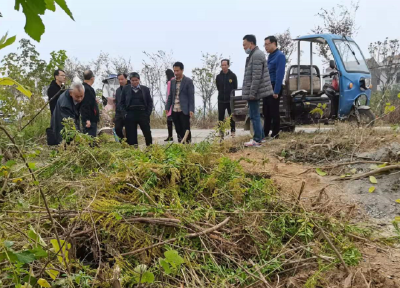 【刘家隔镇】剿灭“加拿大一枝黄花”！刘家隔镇预计四天完成  