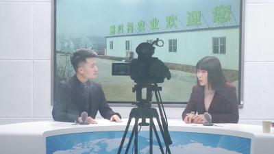 代表委员走进演播厅 畅谈贯彻落实“两会”精神