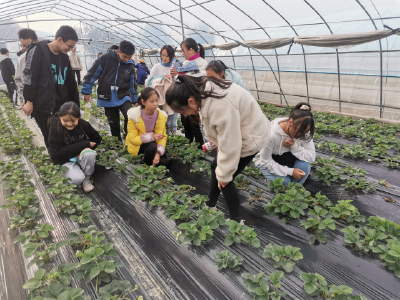 【南河乡】南河中学：体验农耕生活，让劳动教育入心