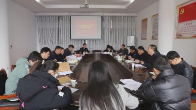 【学习贯彻党的十九届六中全会精神】以实干实效推动党的十九届六中全会精神在汉川落地生根