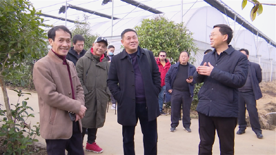 省科技厅专家组考察我市乡村振兴科技创新示范基地建设情况