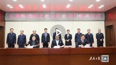 总投资173亿元  “纸业巨头”五洲特纸花落汉川