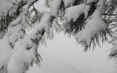 汉川启动气象重大灾害（暴雪）IV级应急响应