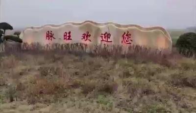 【脉旺】2021大事记