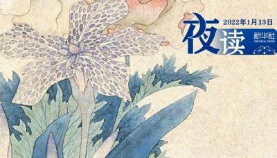 悦读丨拒绝情绪内耗