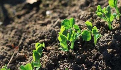 天气预报（1月20-22日）| 晴天渐行渐远，小雨接踵而至！