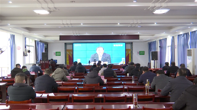 我市组织收看省新冠肺炎疫情防控指挥部视频调度会议