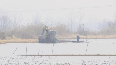 【麻河镇】修复生态  退垸还湖2600亩